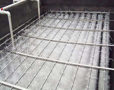 ���w��������