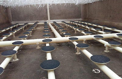 �ؚ����ɞ���ˮ̎���ИI(y��)�������ǣ����V�����á�